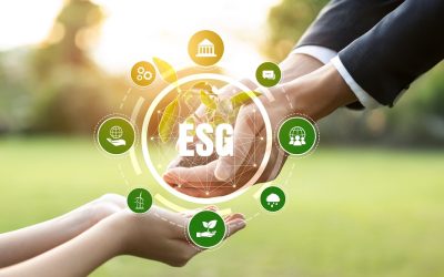 Izvršni direktor GZS za Jutranjo kroniko o trajnostnem poročanju