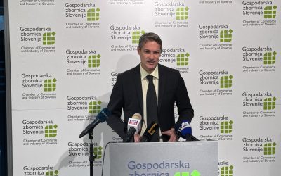 Glavni ekonomist GZS v intervjuju za Delo o cementni industriji