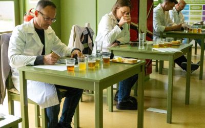Odkrijte 33 slovenskih piv, ki so letos prejela znak »Pivo odlične kakovosti 2026«